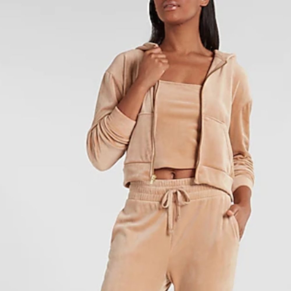 Express Velour Zip Up Hoodie
